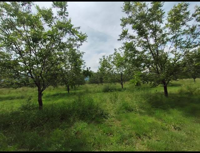 96HA FARM FOR SALE IN HEKPOORT